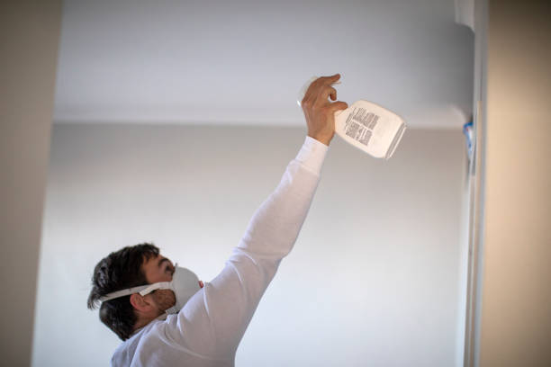 Best Fast Mold Removal  in Eulyptus Hills, CA