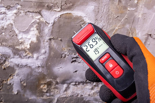 Best Mold Testing  in Eulyptus Hills, CA