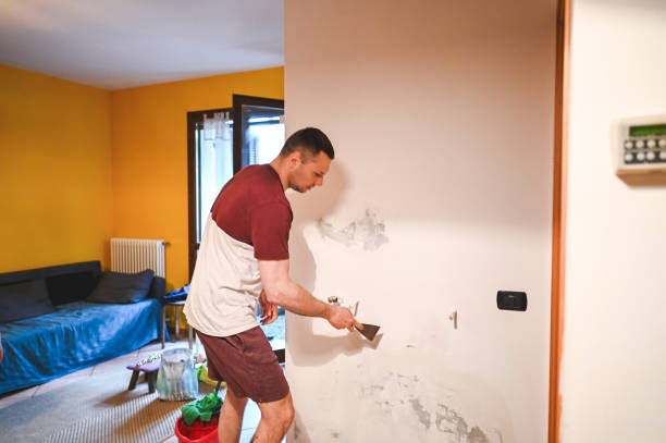 Best Same-Day Mold Removal  in Eulyptus Hills, CA